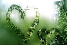 What is crypto rebate? How does it work?