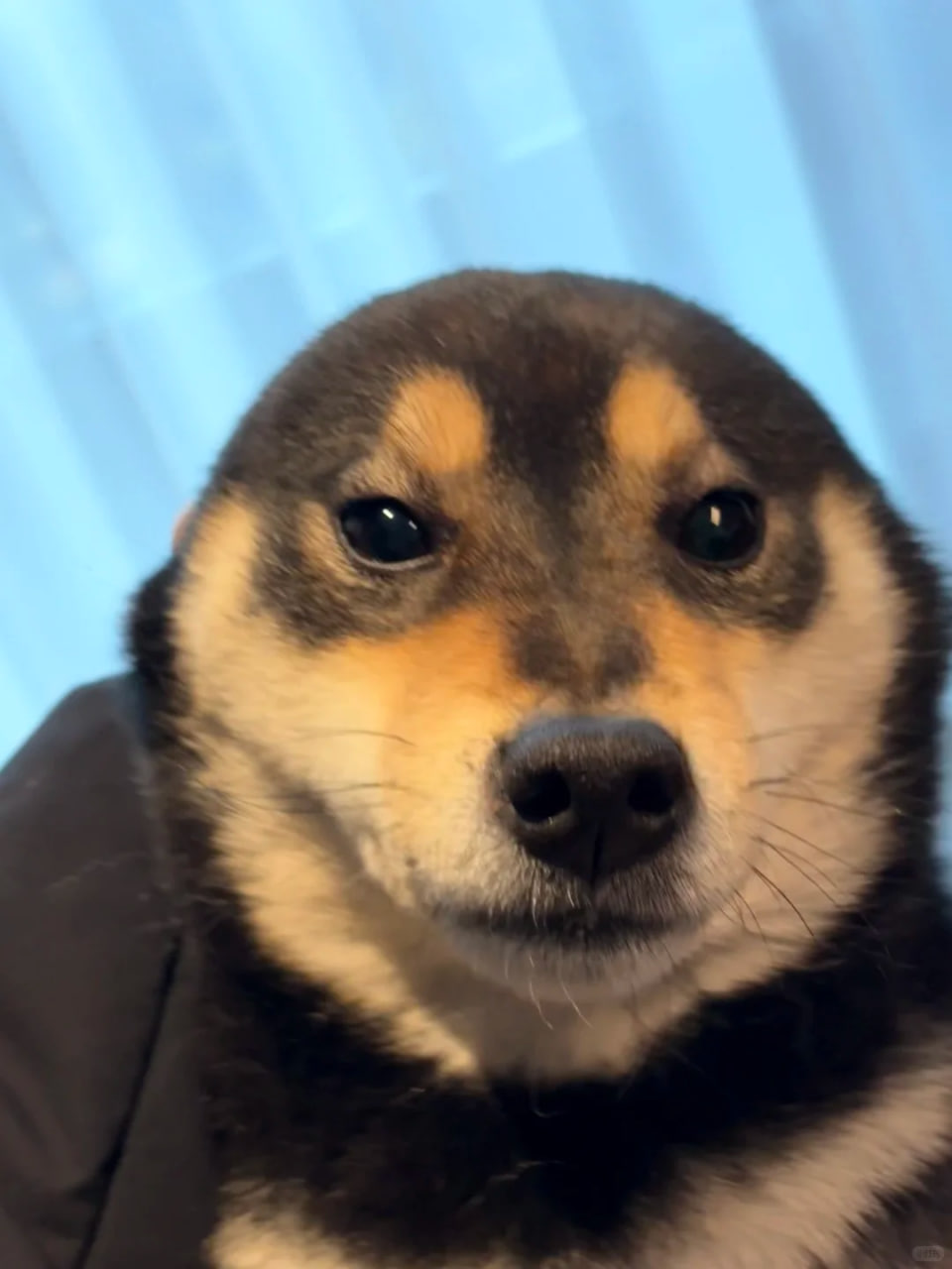 photo_2025-12-05_14-53-09.jpg photo_2025-12-05_14-53-09.jpg