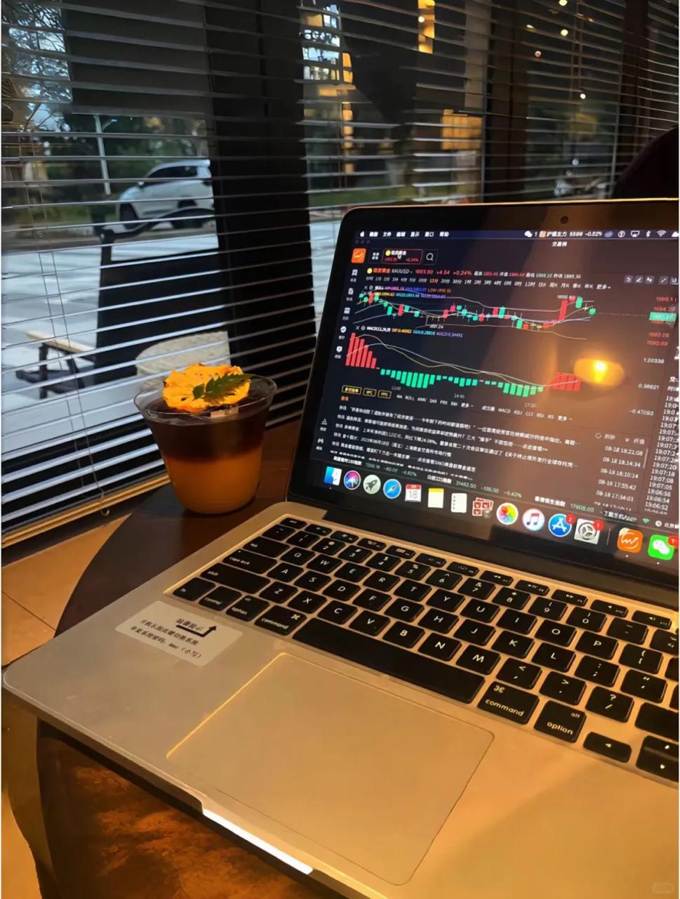 2026-01-20 10.46.50.jpg 2026-01-20 10.46.50.jpg