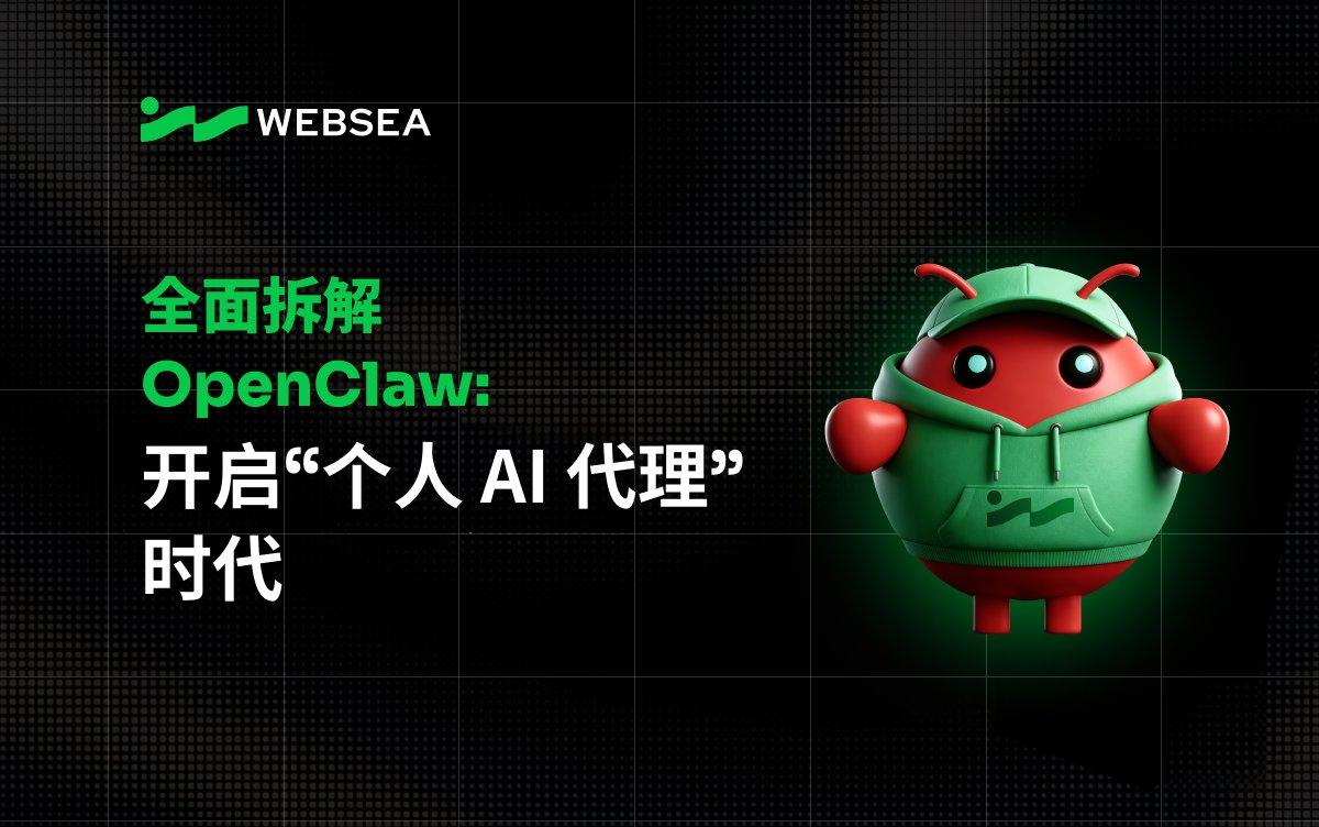 Websea 浪所合约保险给新手一份底气